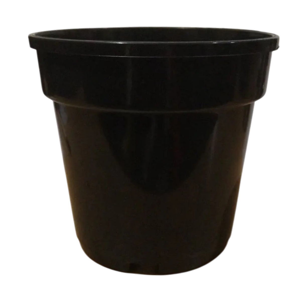 5 Inch Pune Nursery Pot